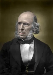 Porträt von Herbert Spencer